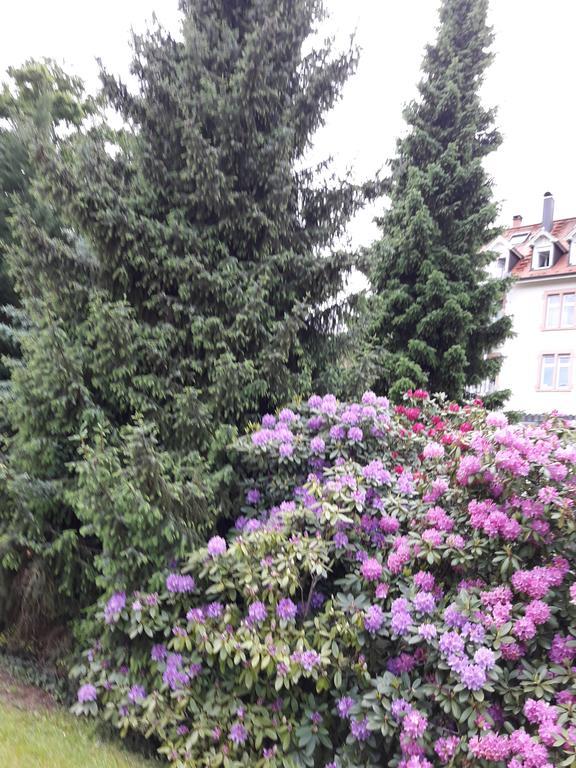 Apartment Near Villa Turgenev Баден-Баден Екстер'єр фото